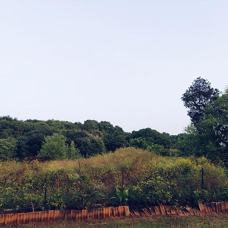 Laforesta By Mahabaleshwar Stay Dış mekan fotoğraf