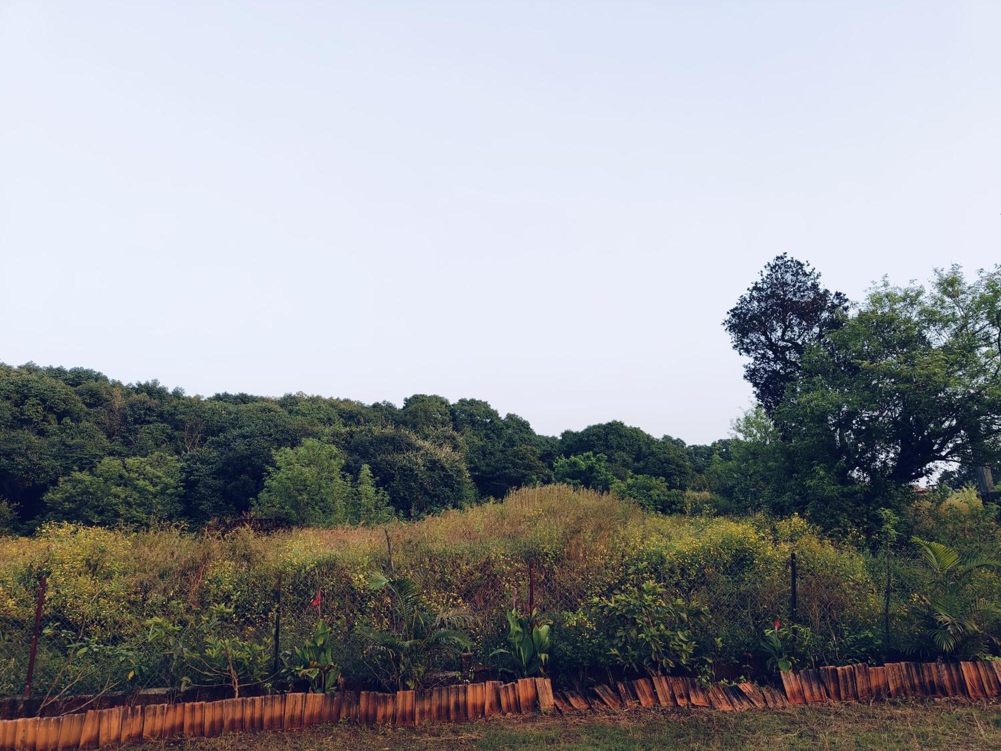 Laforesta By Mahabaleshwar Stay Dış mekan fotoğraf
